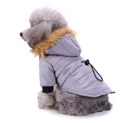 Winter Clothing for Pets