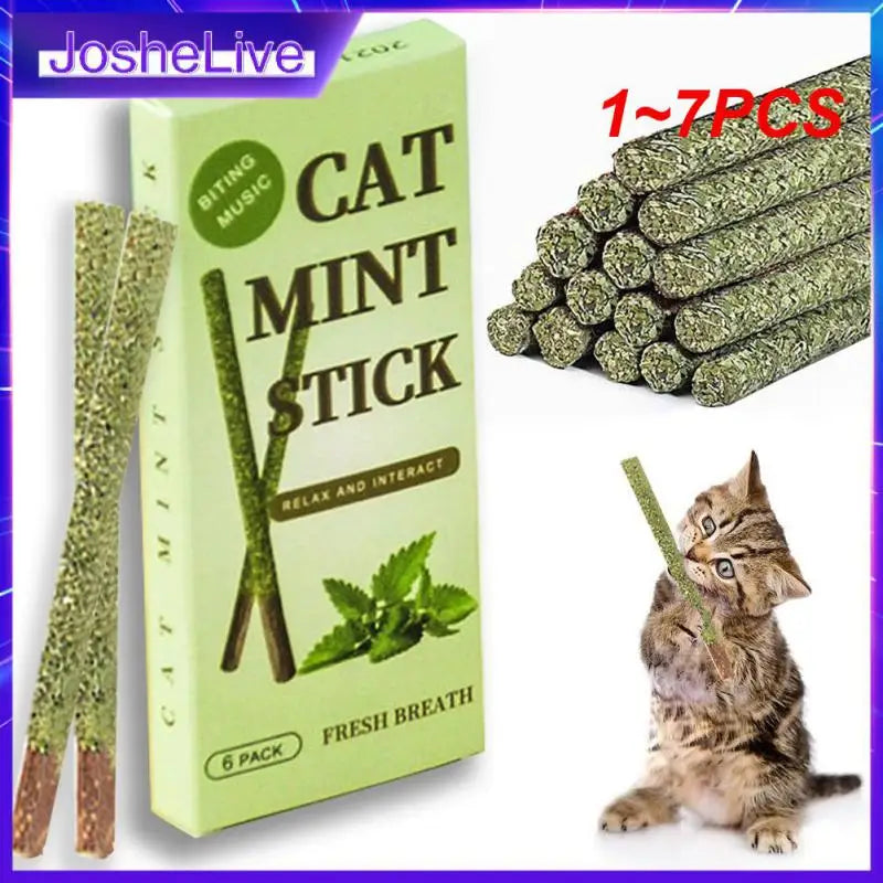 1~7PCS Sticks/Box Cat Chews Products All Natural Catnip Sticks Wood Tengo Molar Sticks Teeth Cleaning Cat Sticks for Cats of All